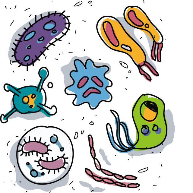 白喉疫情在印尼 了解這一生物威脅，掌握關鍵預防方法