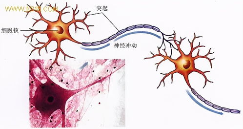 生物農藥與化學農藥 如何科學選擇，這里有深入分析