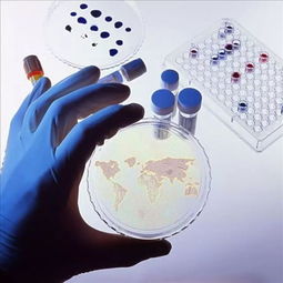 2017年生物制品批簽發年報 疫苗質量安全可控