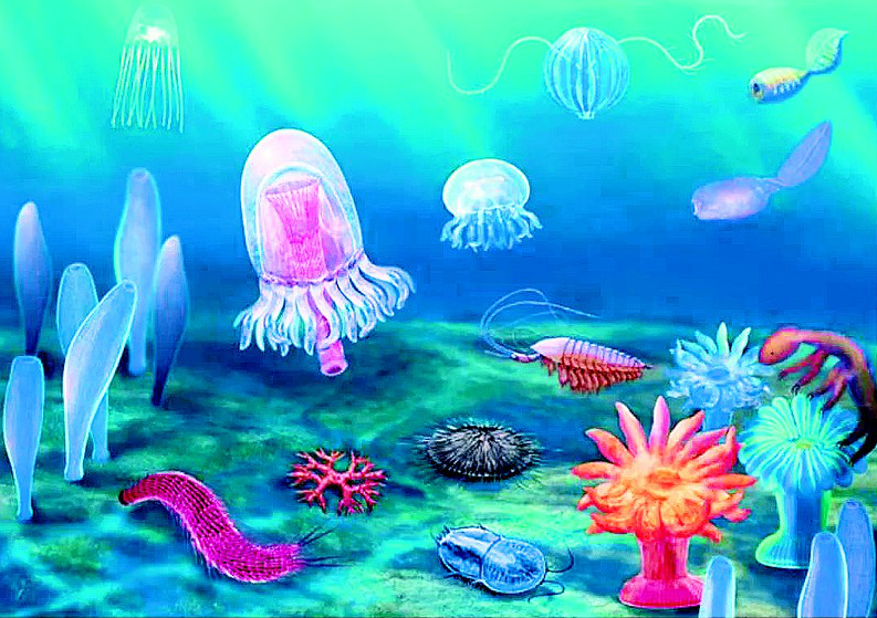 湖北長陽發現5.18億年前清江生物群 醫藥領域的技術開發新寵